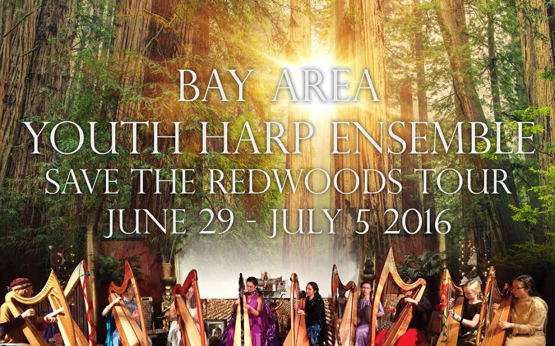 Harpists Tour to Save the Ancient Redwoods
