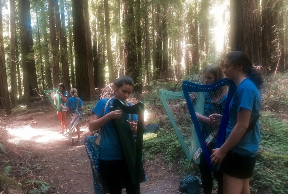 Bay Area Youth Harp Ensemble (BAYHE) Save the Redwoods Tour