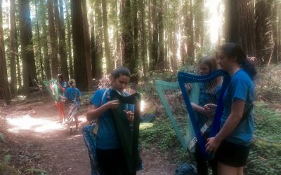 Bay Area Youth Harp Ensemble (BAYHE) Save the Redwoods Tour